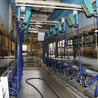 Photo representing the category MILKING PARLORS